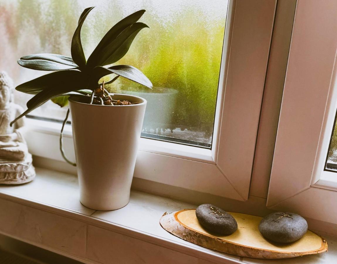 Modernes Appartement Im Gruenen - Stilvoll Und Komfortabel Köln Dış mekan fotoğraf